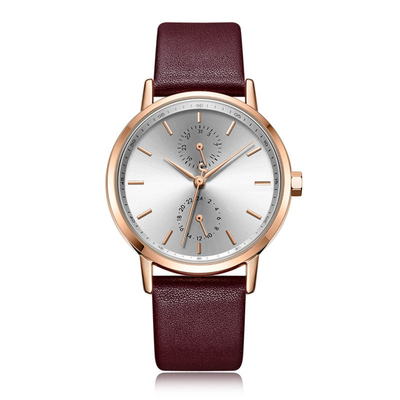 Toevallig het Leerhorloge Pin Buckle Tempered Glass Waterproof van kleine Wijzerplaatvrouwen