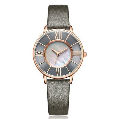 Pin Buckle Women Quartz Wrist-de Riem Shell Dial van het Horlogeleer