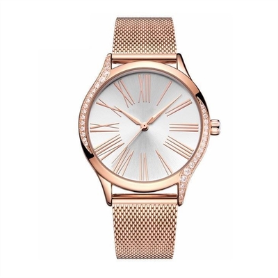 Van het het Kwartsroestvrije staal van de stevige Vrouwen van de Staalgesp het Horloge Diamond Casual Watches