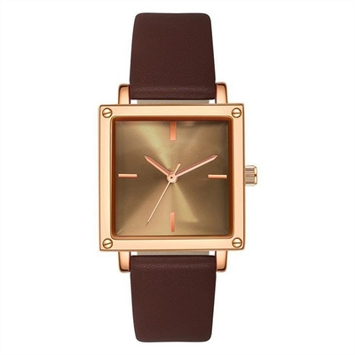 Leer/Mesh Strap Women Quartz Wrist-Horloge 30M niet de Schaalwijzerplaat van Life Waterproof Square