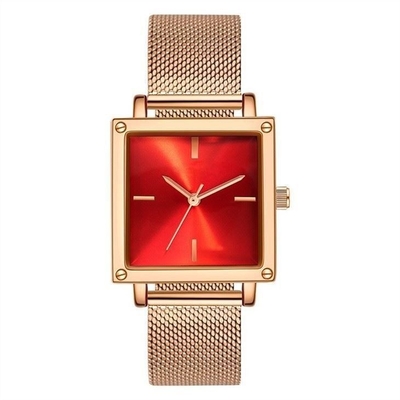 Leer/Mesh Strap Women Quartz Wrist-Horloge 30M niet de Schaalwijzerplaat van Life Waterproof Square