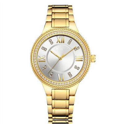 Van het de Vrouwenkwarts van het Aollygeval het Polshorloge Diamond Set Steel Belt 20cm Riem