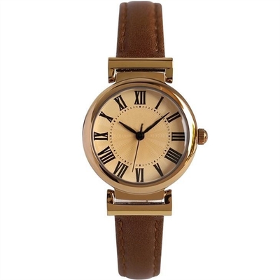 Roman Numerals Belt Quartz Battery-maakt Polshorloges Mineraal Glas 30m waterdicht