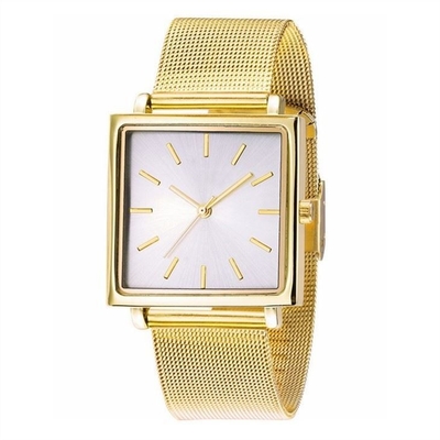 Horloge Modieus Eenvoudig Mesh Belt 32mm van de roestvrij staal het Vierkante Wijzerplaat Geval