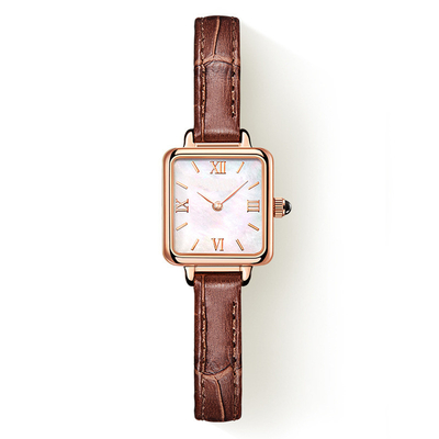 De Vierkante Manier Roman Watch Slim Belt van de kleine Bruine Vrouwen van het Leerhorloge