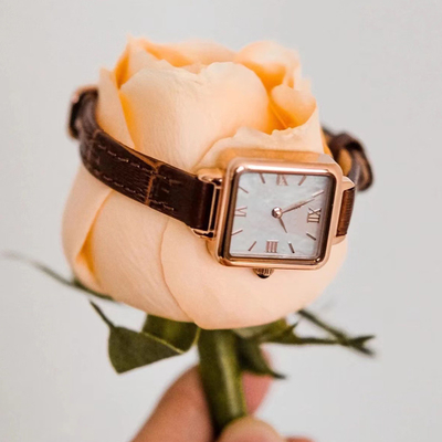 De Vierkante Manier Roman Watch Slim Belt van de kleine Bruine Vrouwen van het Leerhorloge